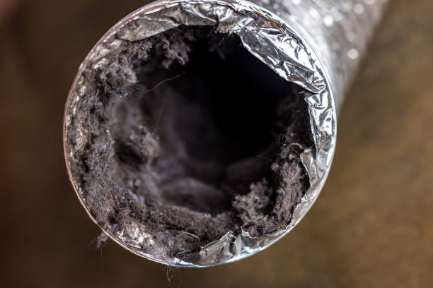 Ventilation Cleaning Services in Beulaville, NC
