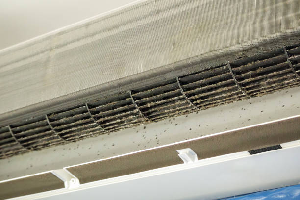Best General Air Duct Cleaning  in Beulaville, NC