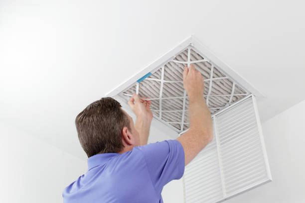 Best Affordable Air Duct Cleaning  in Beulaville, NC